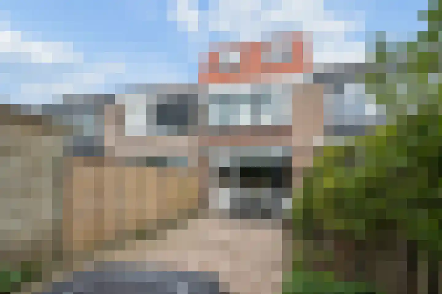 De Cotelaer 19 Barneveld thumbnail 34