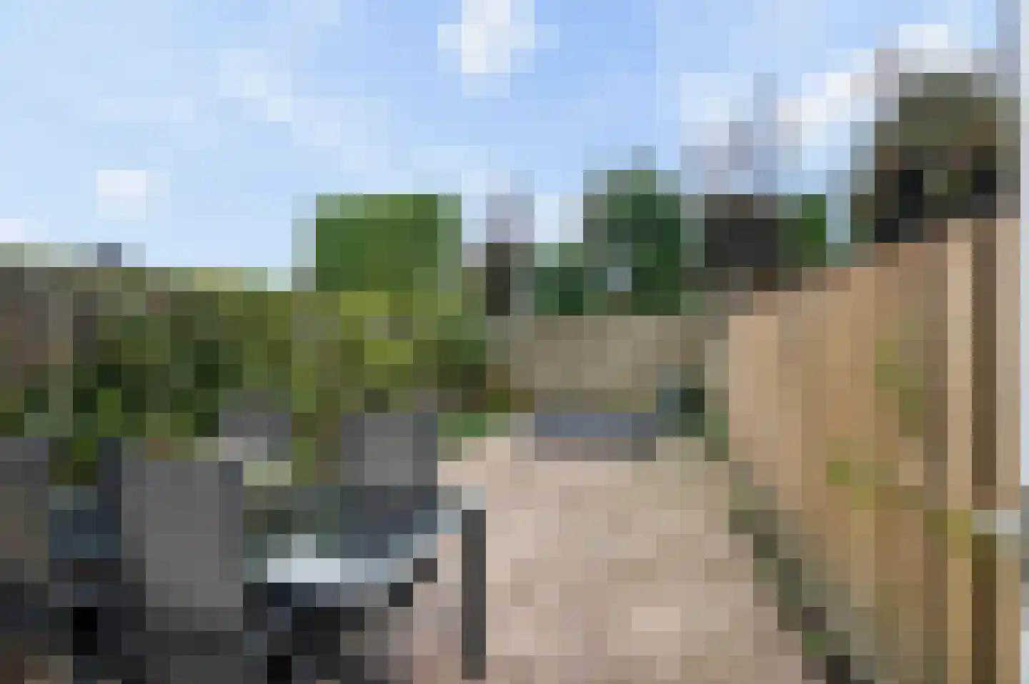 De Cotelaer 19 Barneveld thumbnail 35