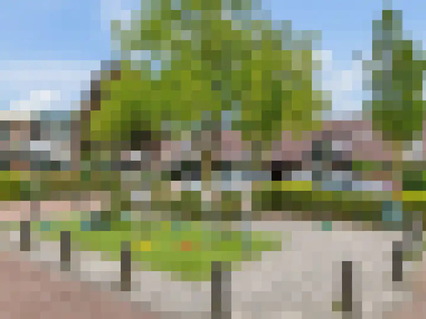 De Cotelaer 19 Barneveld thumbnail 43