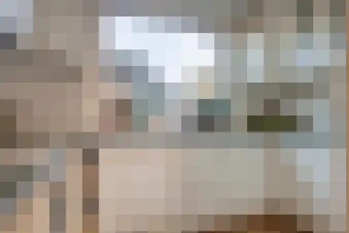 De Cotelaer 25 Barneveld thumbnail 11
