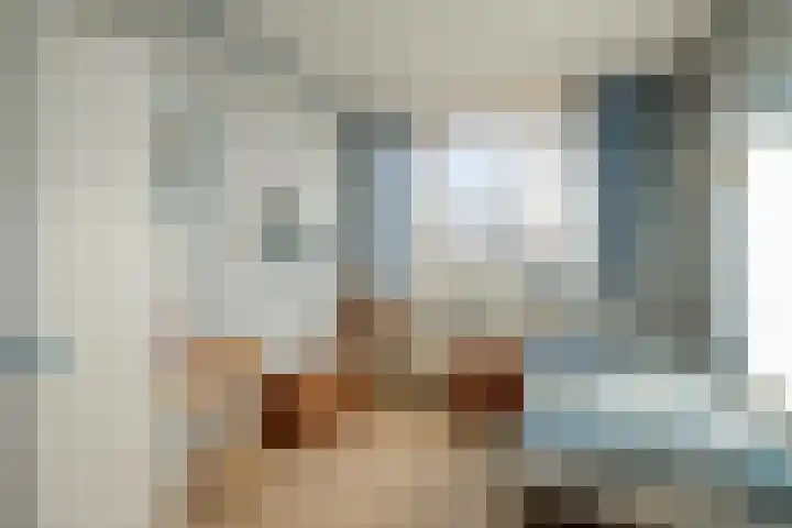 De Cotelaer 25 Barneveld thumbnail 20