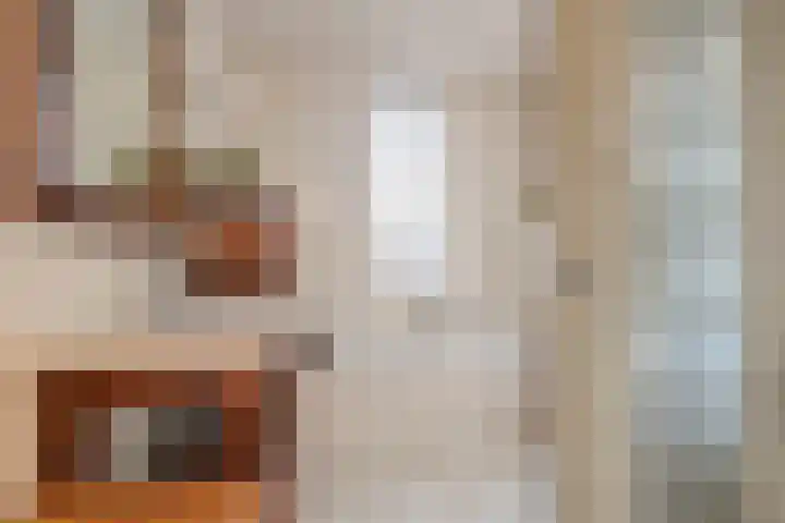 De Cotelaer 25 Barneveld thumbnail 22
