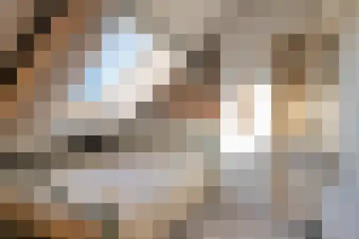 De Cotelaer 25 Barneveld thumbnail 28