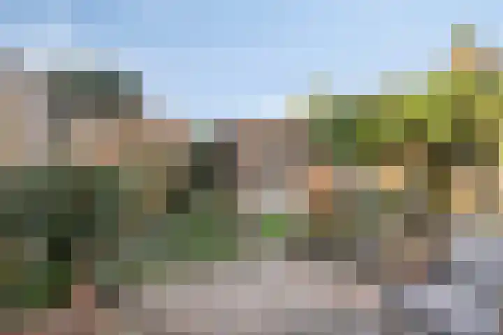 De Cotelaer 25 Barneveld thumbnail 29