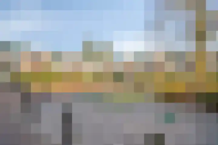 De Cotelaer 25 Barneveld thumbnail 33