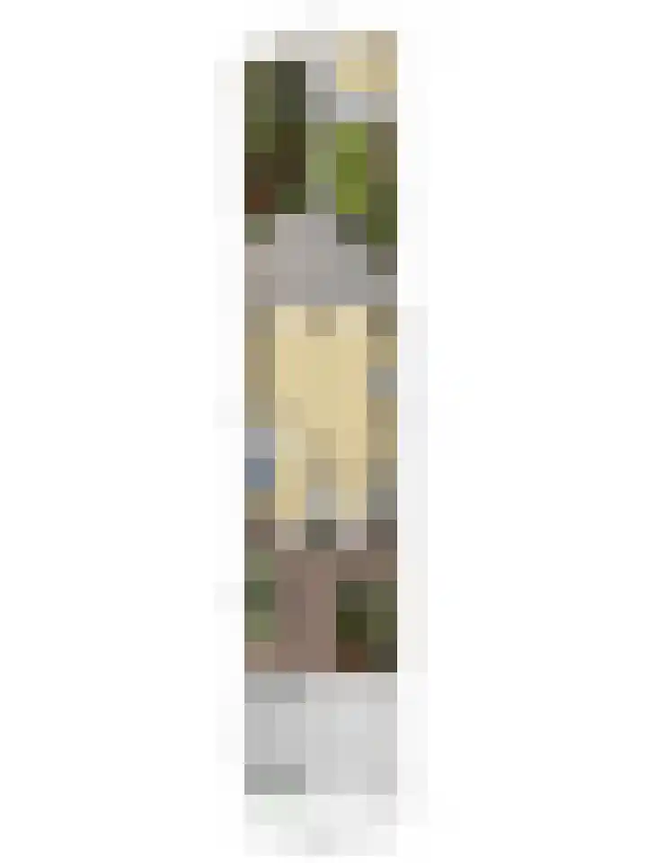De Cotelaer 25 Barneveld thumbnail 39
