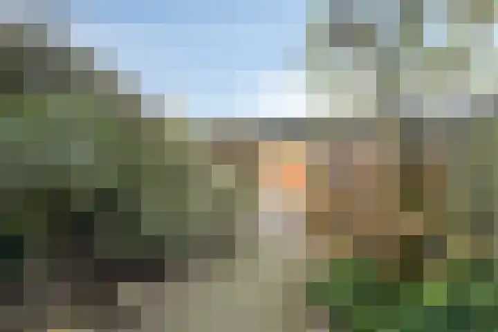 De Cotelaer 25 Barneveld thumbnail 4