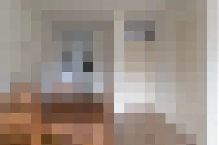 De Cotelaer 3 Barneveld thumbnail 14