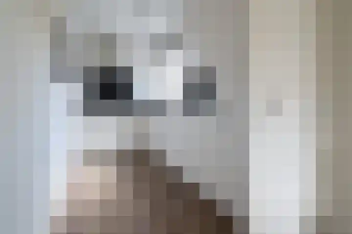 De Cotelaer 3 Barneveld thumbnail 15