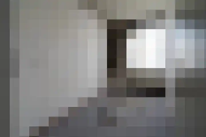 De Cotelaer 3 Barneveld thumbnail 18