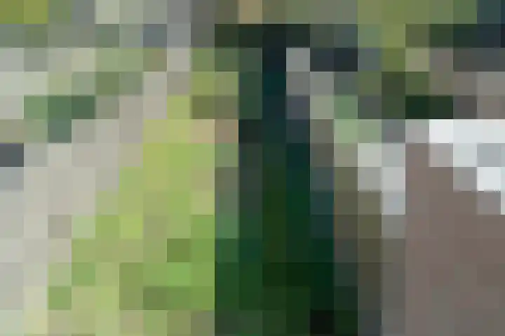 De Cotelaer 3 Barneveld thumbnail 22