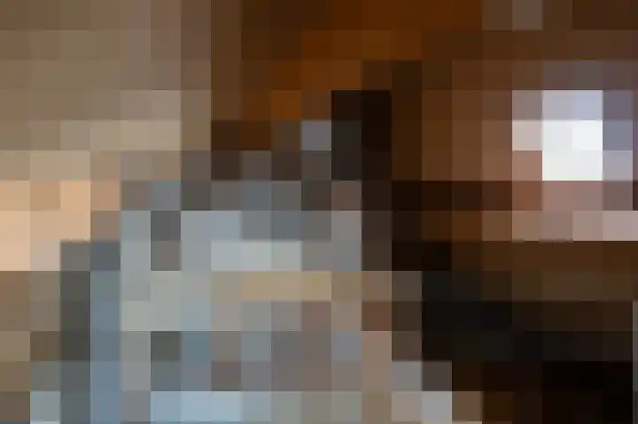 De Cotelaer 3 Barneveld thumbnail 33