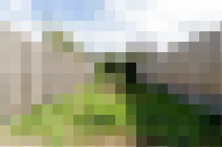De Cotelaer 3 Barneveld thumbnail 36