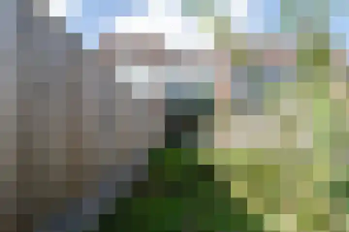 De Cotelaer 3 Barneveld thumbnail 37