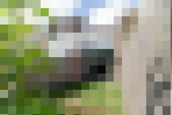 De Cotelaer 3 Barneveld thumbnail 38