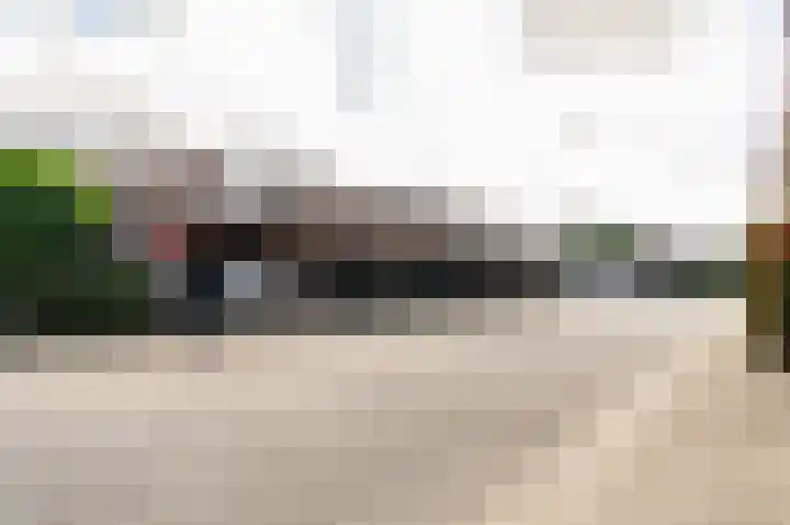De Cotelaer 3 Barneveld thumbnail 4