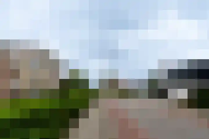 De Cotelaer 3 Barneveld thumbnail 40