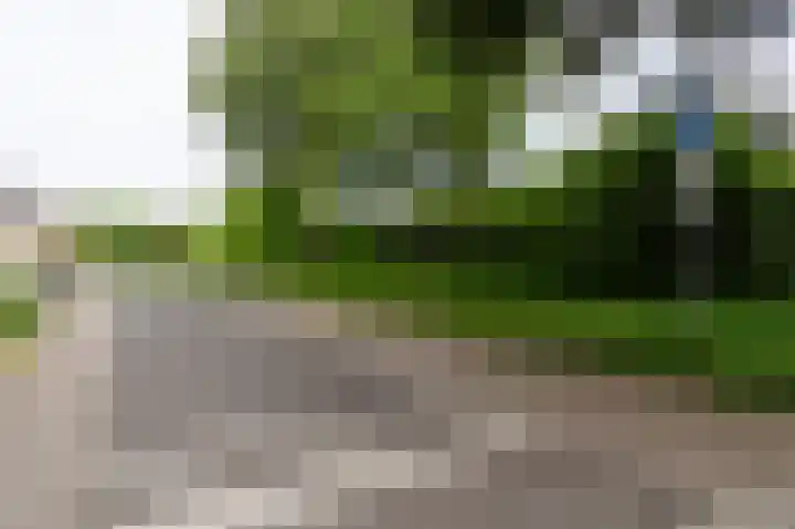 De Cotelaer 3 Barneveld thumbnail 42