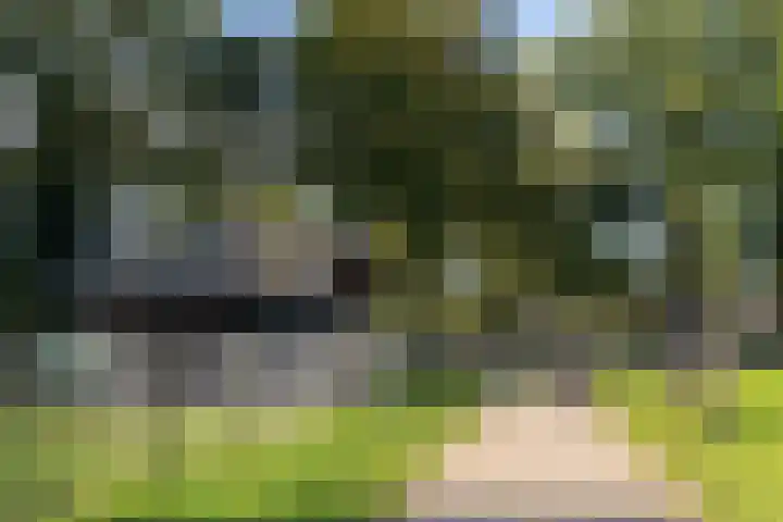 De Cotelaer 3 Barneveld thumbnail 48