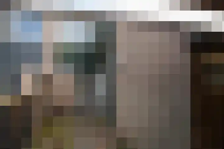 De Cotelaer 3 Barneveld thumbnail 5