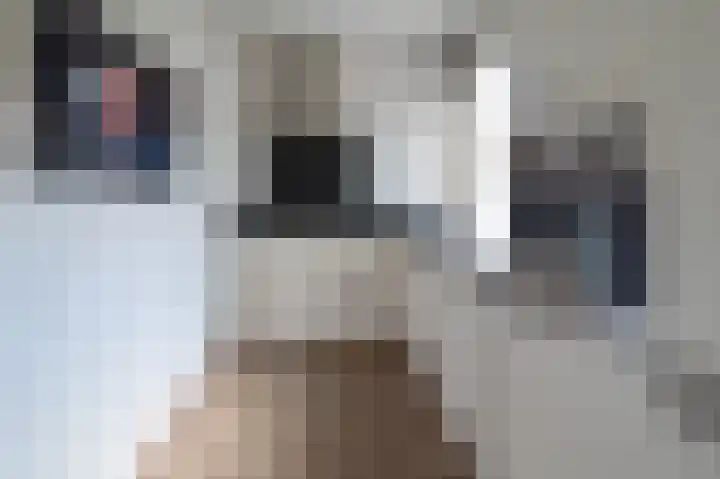 De Cotelaer 3 Barneveld thumbnail 6