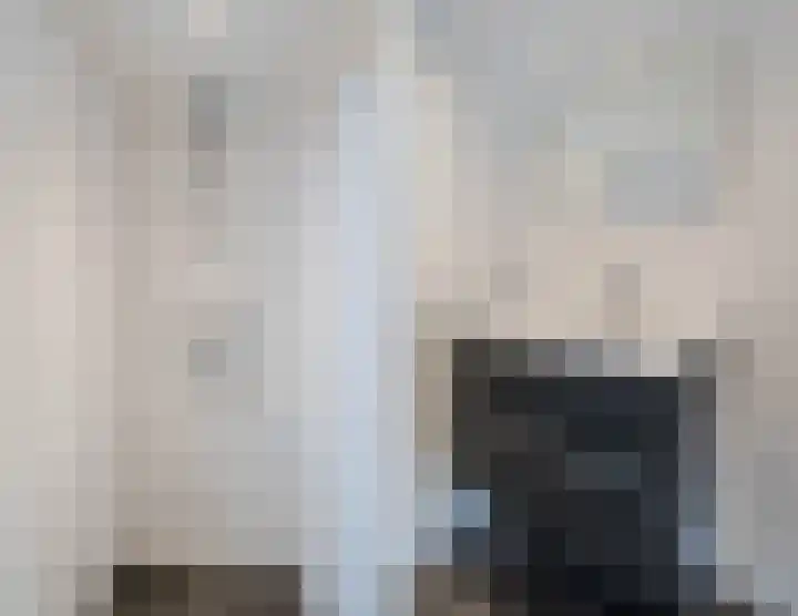 De Cotelaer 30 Barneveld thumbnail 20
