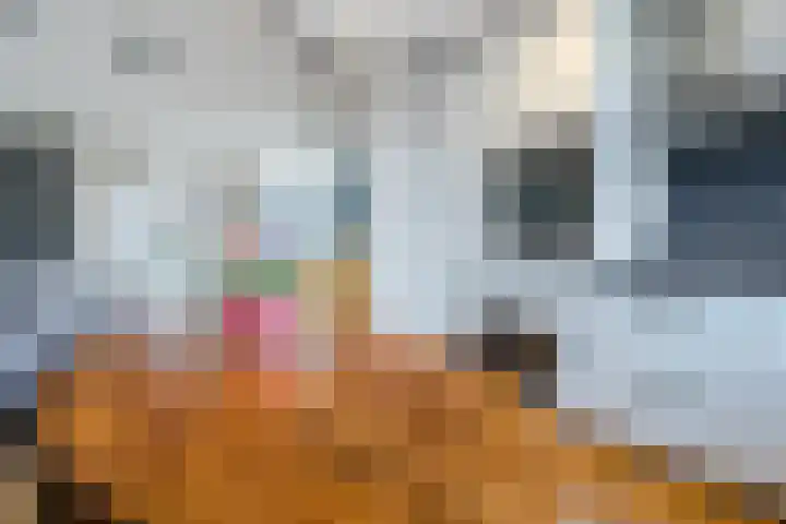 De Cotelaer 30 Barneveld thumbnail 7