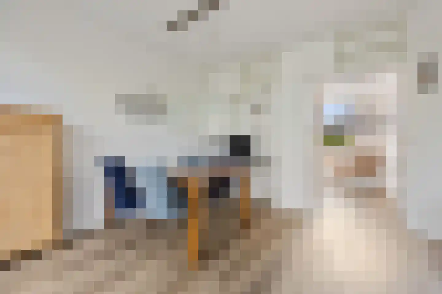De Cotelaer 64 Barneveld thumbnail 10