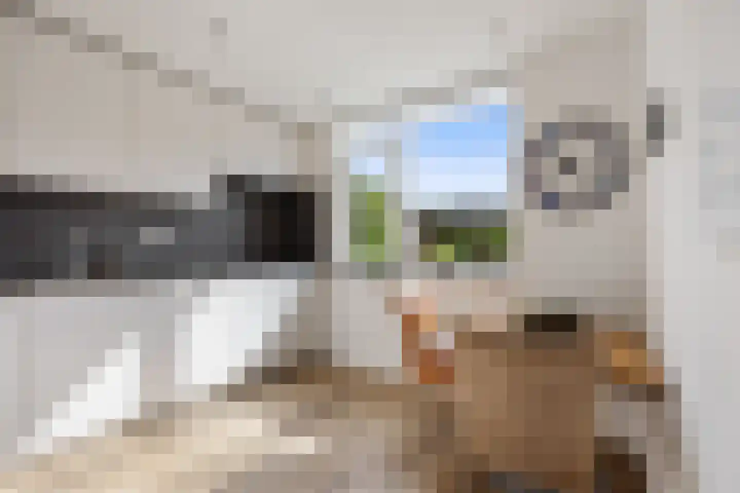 De Cotelaer 64 Barneveld thumbnail 11