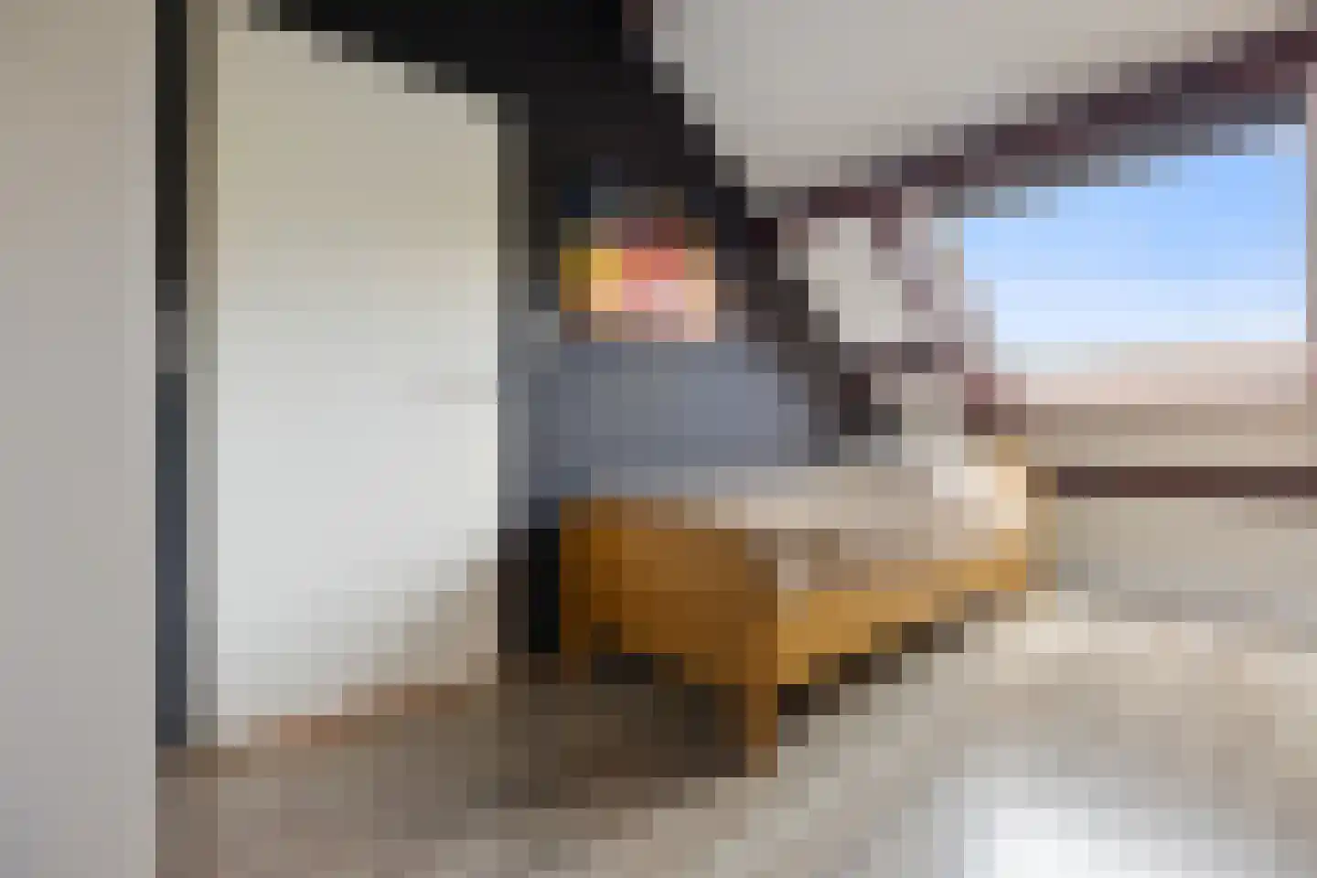 De Cotelaer 64 Barneveld thumbnail 25