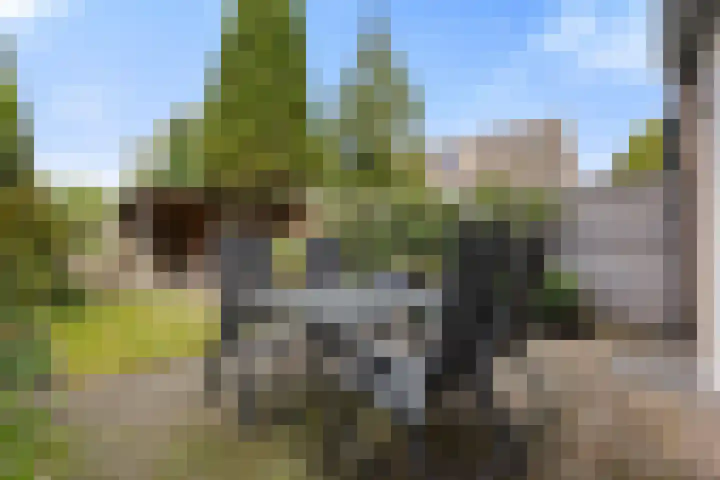 De Cotelaer 64 Barneveld thumbnail 28