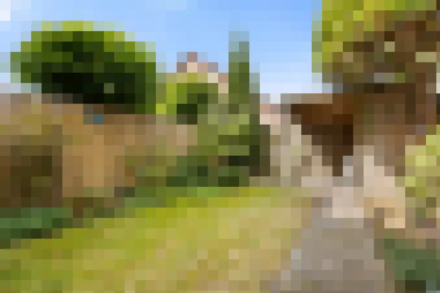 De Cotelaer 64 Barneveld thumbnail 29