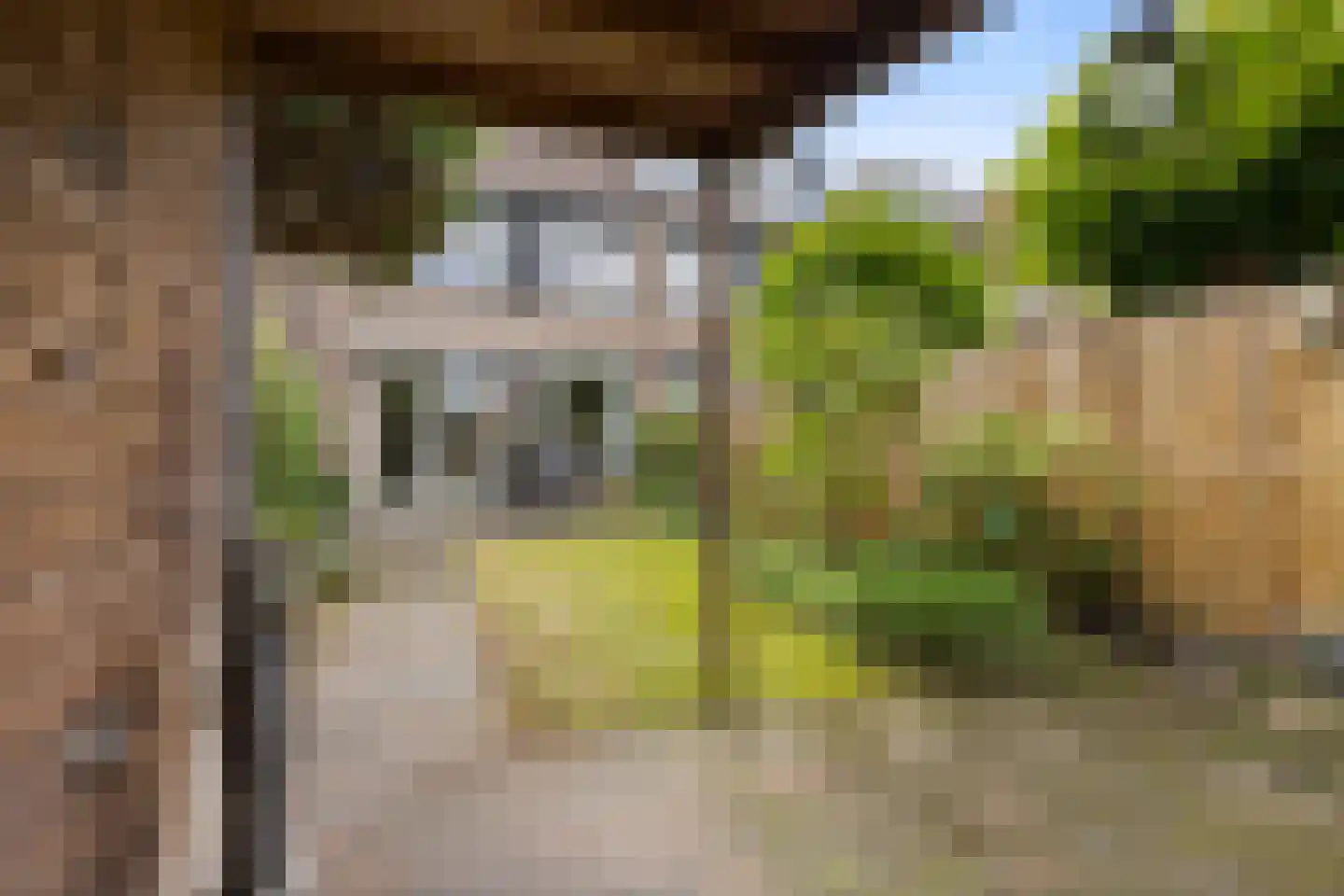 De Cotelaer 64 Barneveld thumbnail 30