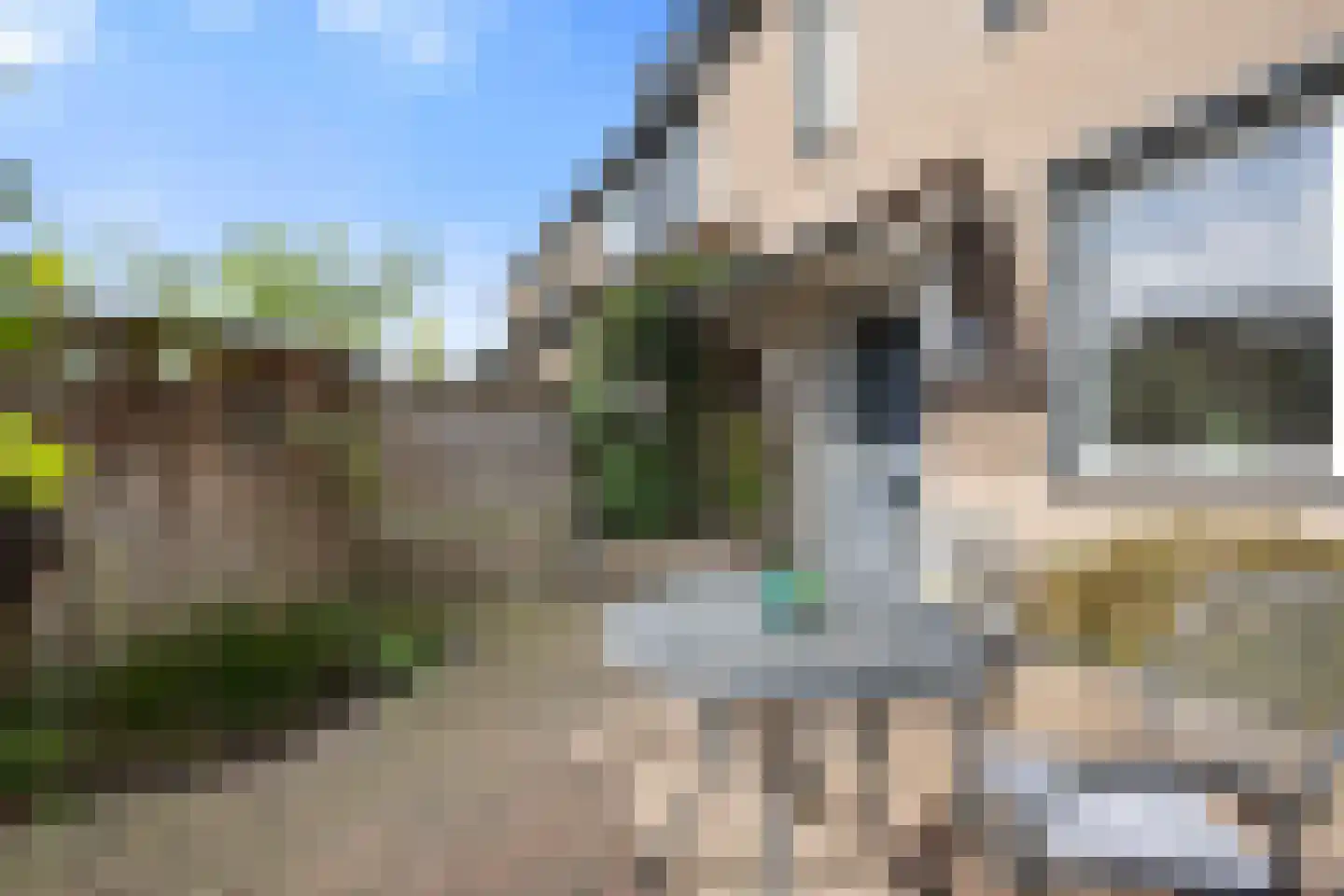 De Cotelaer 64 Barneveld thumbnail 33