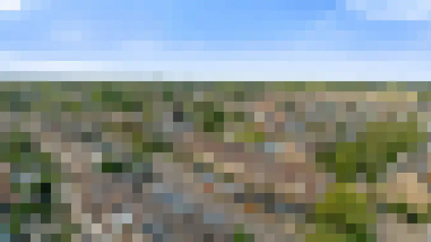 De Cotelaer 64 Barneveld thumbnail 37