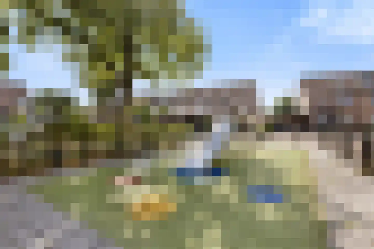 De Cotelaer 64 Barneveld thumbnail 38