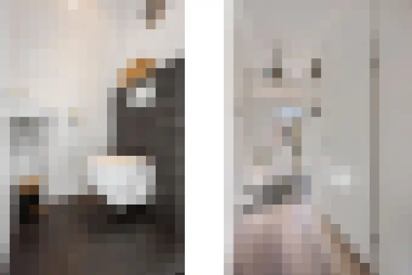 De Cotelaer 64 Barneveld thumbnail 6