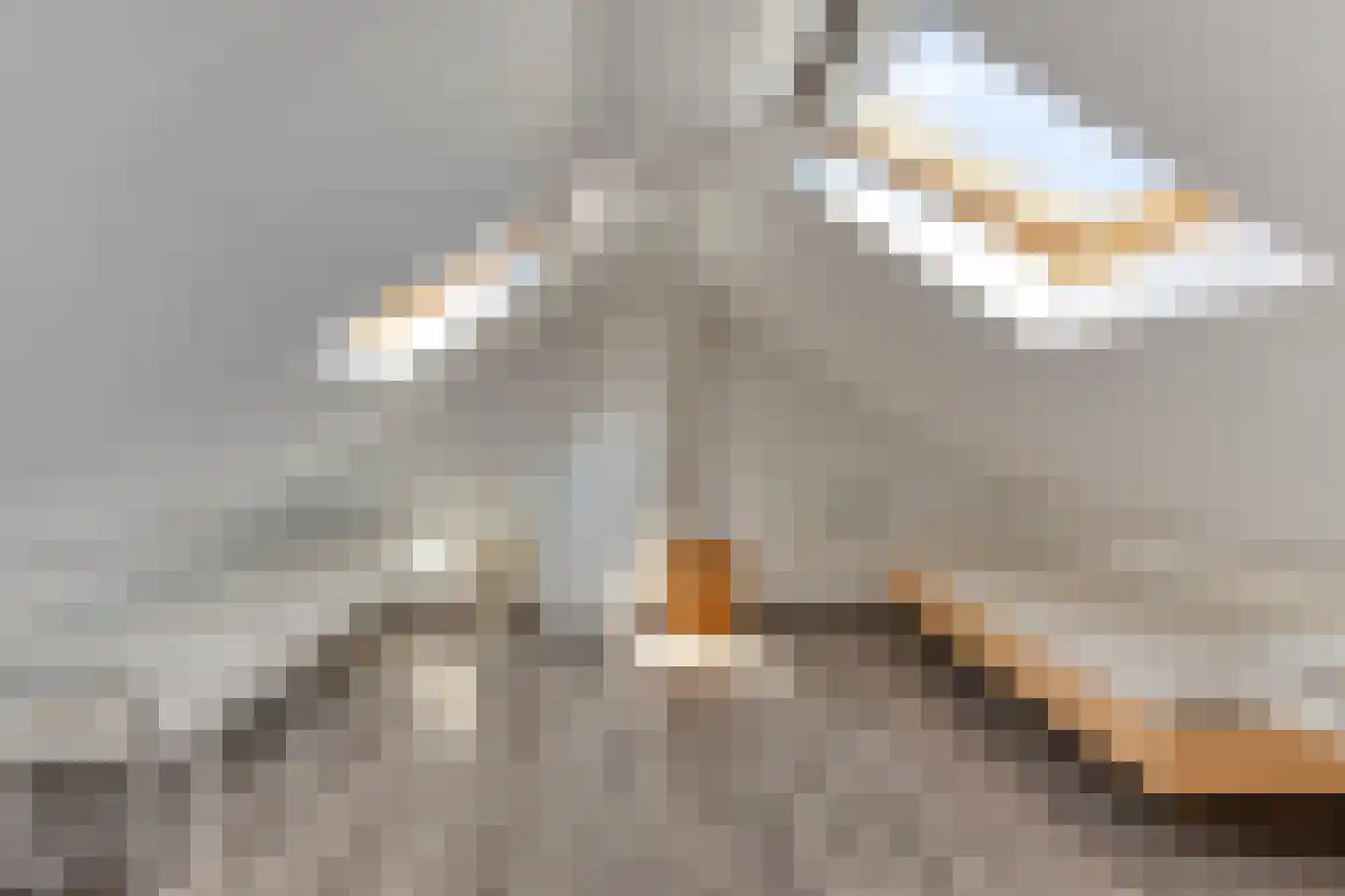 De Coubertinlaan 51 Waalwijk thumbnail 23