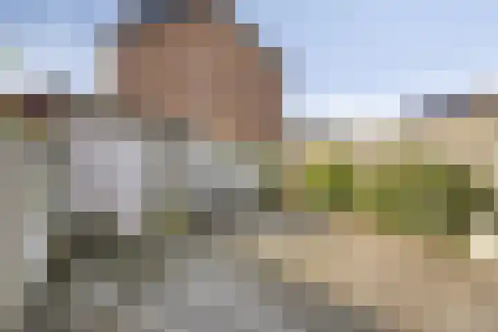 De Coubertinlaan 61 Waalwijk thumbnail 17