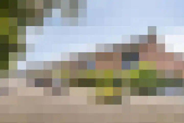 De Coubertinlaan 61 Waalwijk thumbnail 18