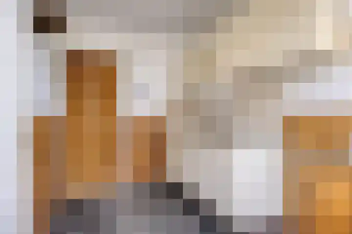 De Coubertinlaan 61 Waalwijk thumbnail 8