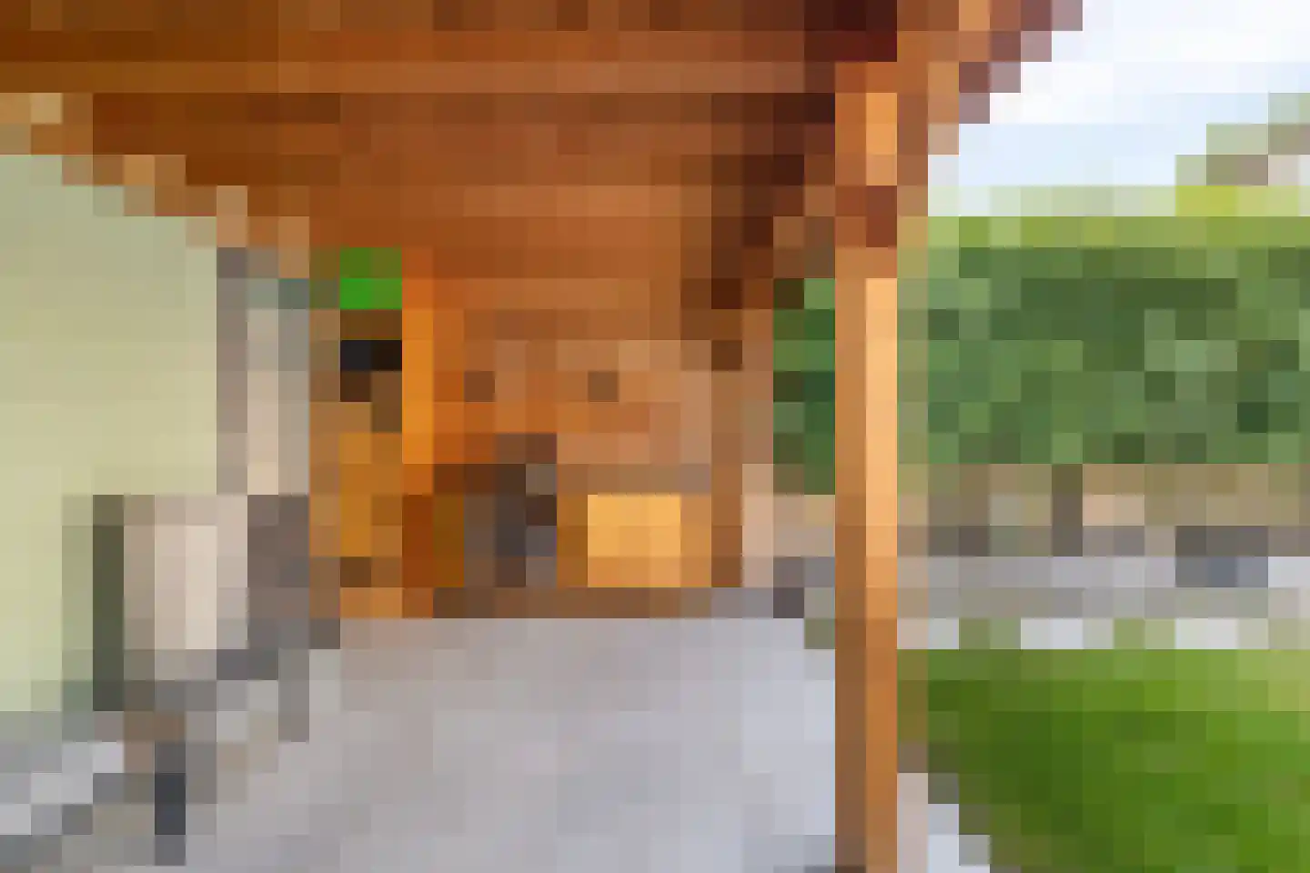 De Coubertinlaan 77 Waalwijk thumbnail 37
