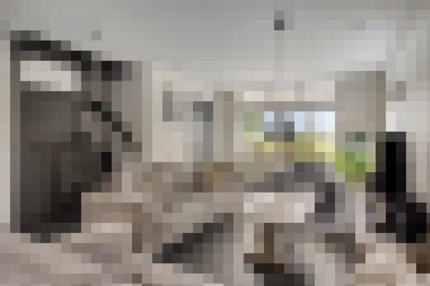 De Crimpen 12 Akersloot thumbnail 10