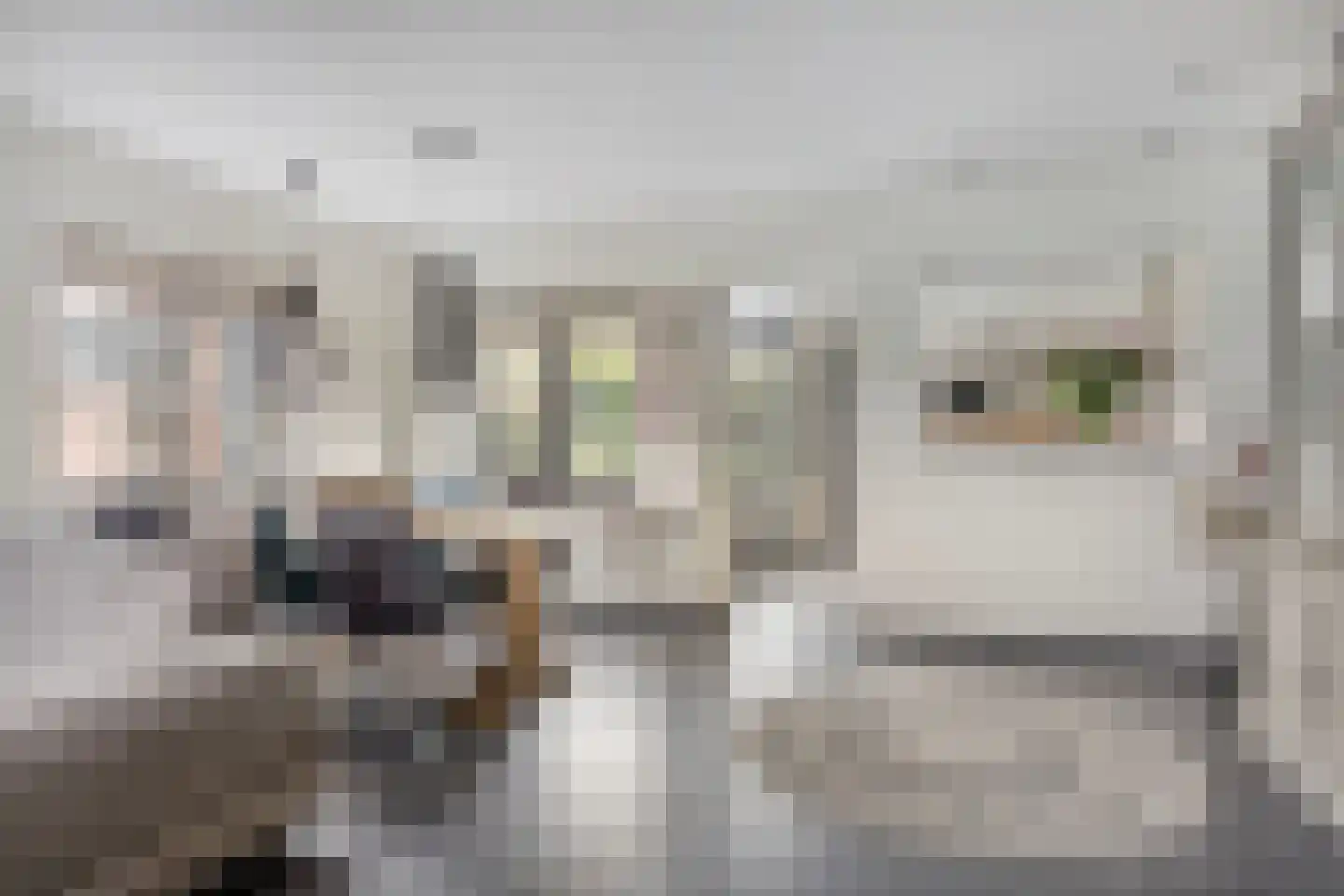 De Crimpen 12 Akersloot thumbnail 12