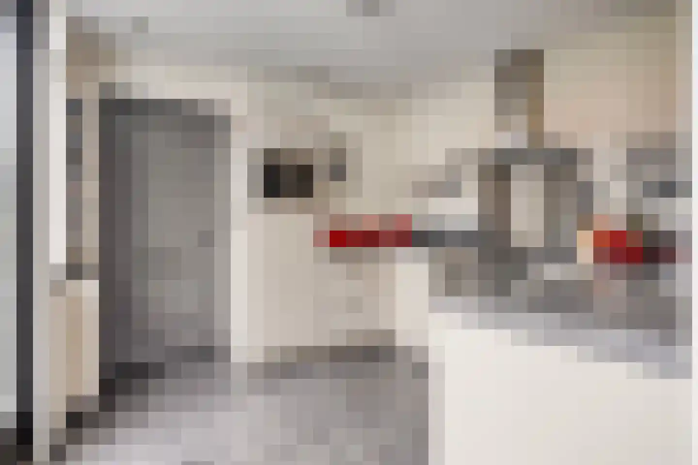 De Crimpen 12 Akersloot thumbnail 15