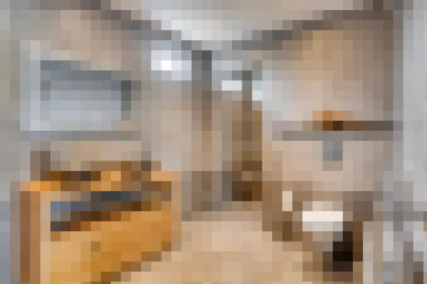 De Crimpen 12 Akersloot thumbnail 18