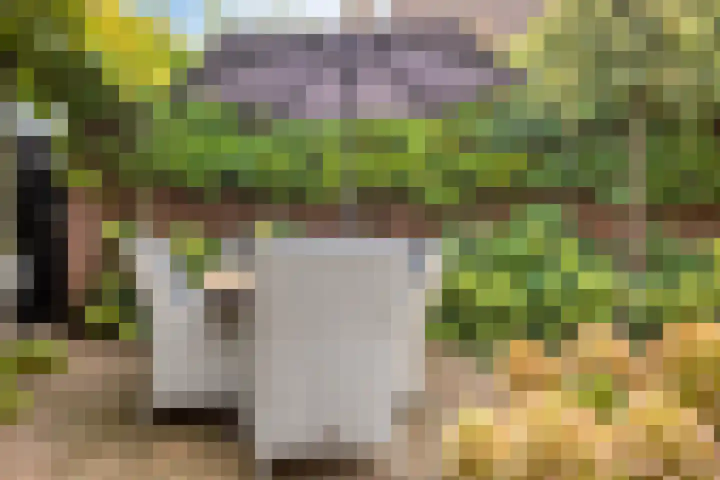 De Crimpen 12 Akersloot thumbnail 38