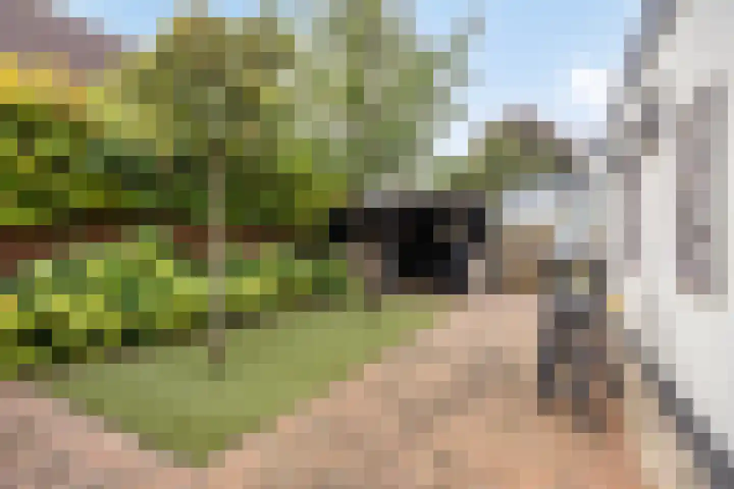 De Crimpen 12 Akersloot thumbnail 40