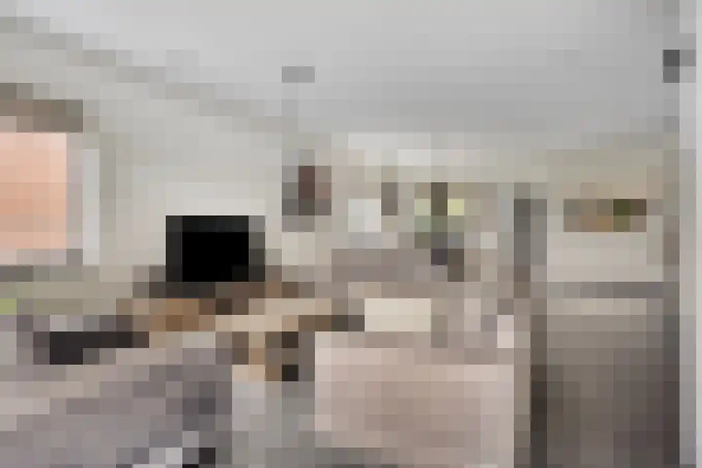 De Crimpen 12 Akersloot thumbnail 8