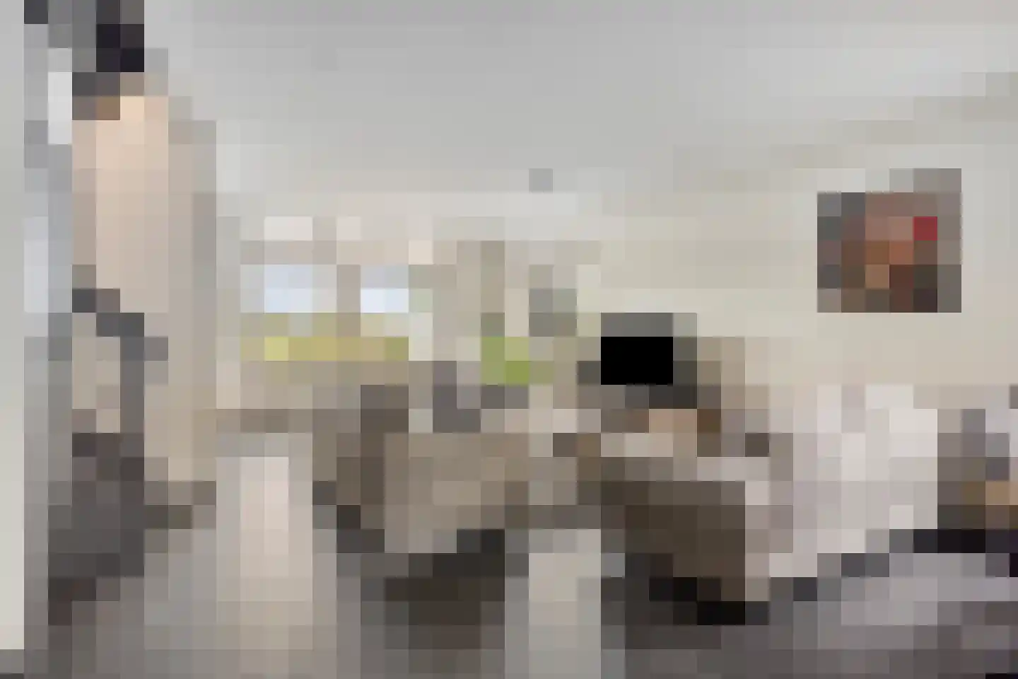 De Crimpen 12 Akersloot thumbnail 9